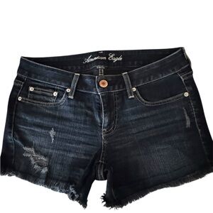 American Eagle Outfitters Women's Blue Denim Shorts
